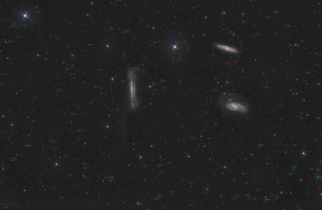 Leo Triplet - Annotated