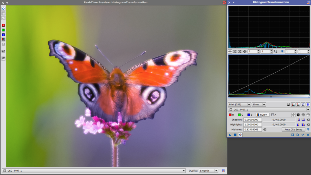 butterfly-histogram-aligned