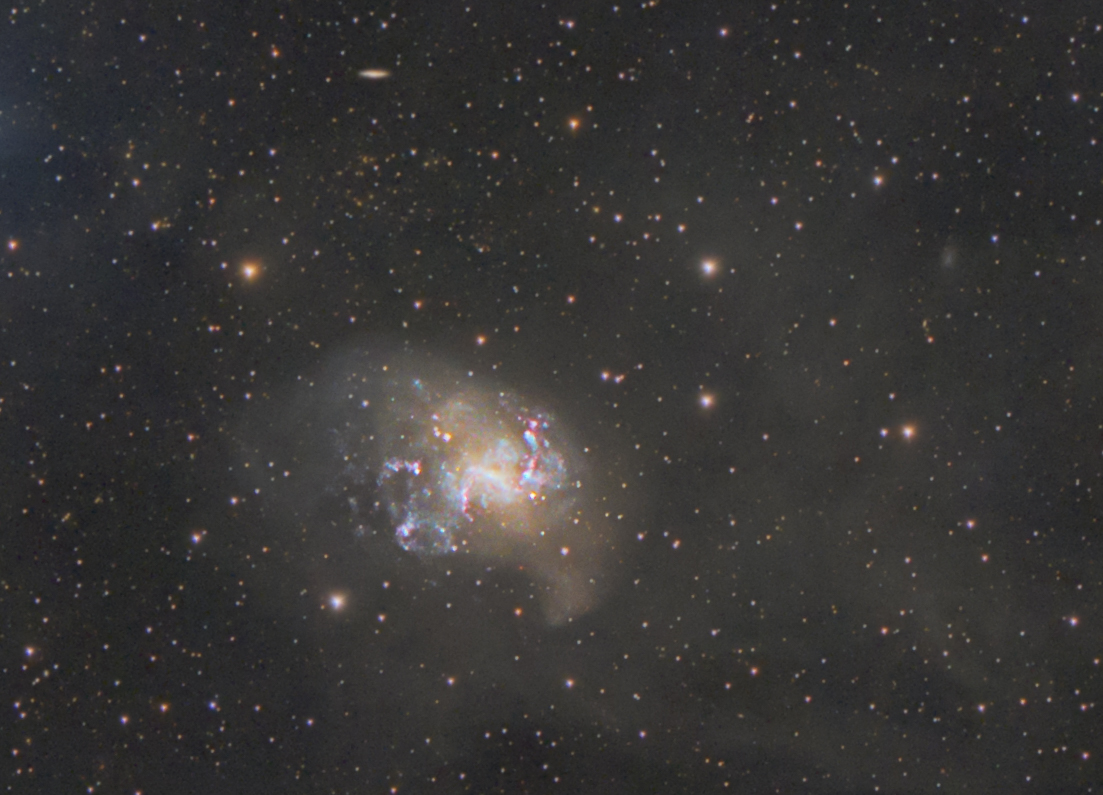 NGC1313