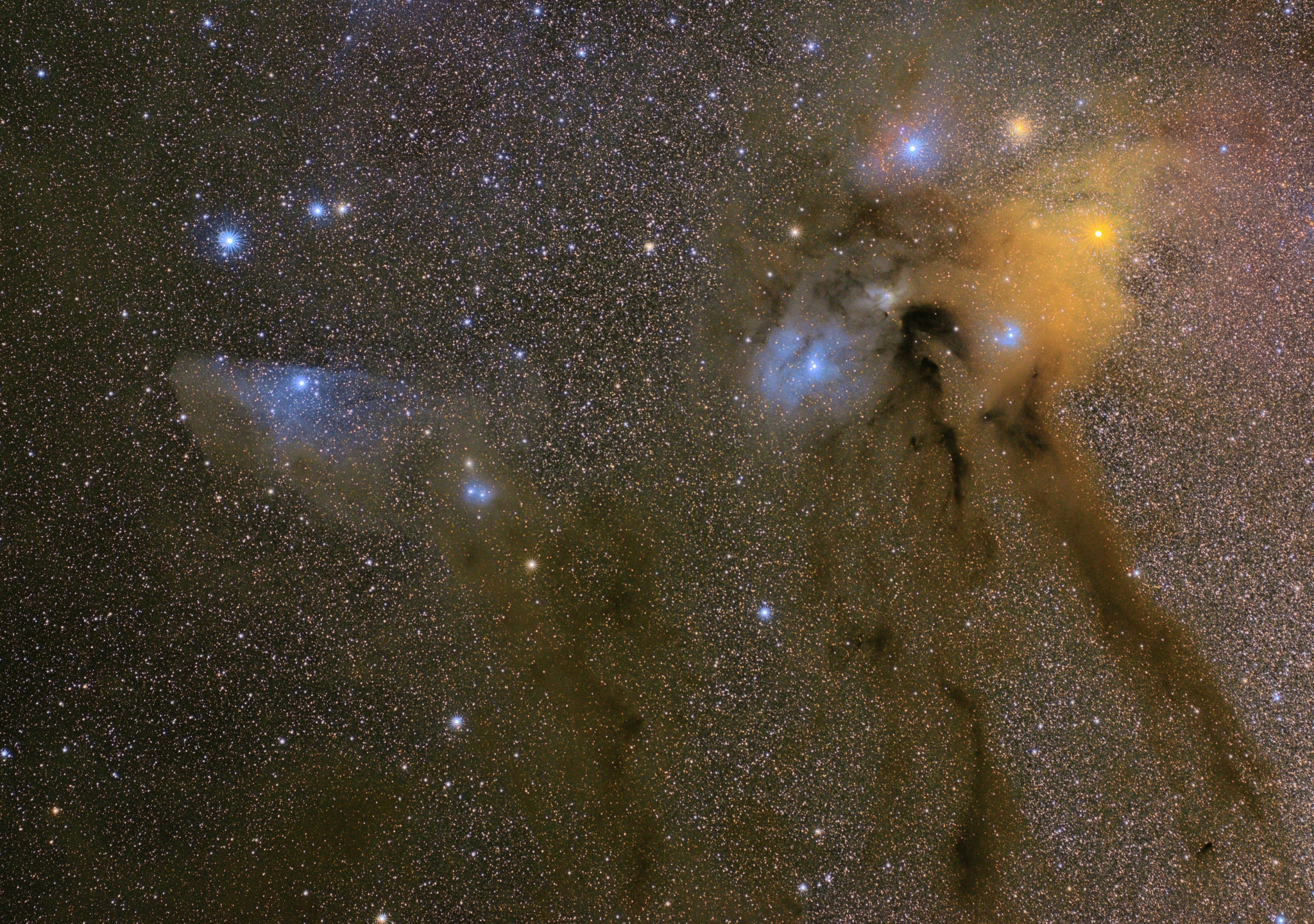 Rho Ophiuchi Cloud Complex and the Blue Horsehead