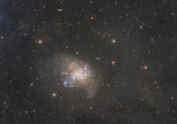 Irregular galaxy NGC 1313